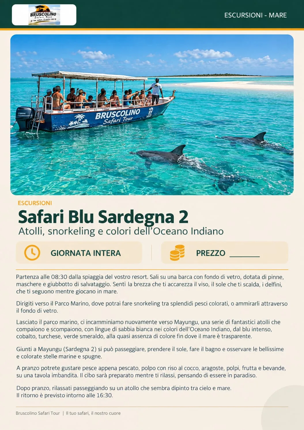 Barca Bruscolino e delfini nelle acque di Sardegna 2