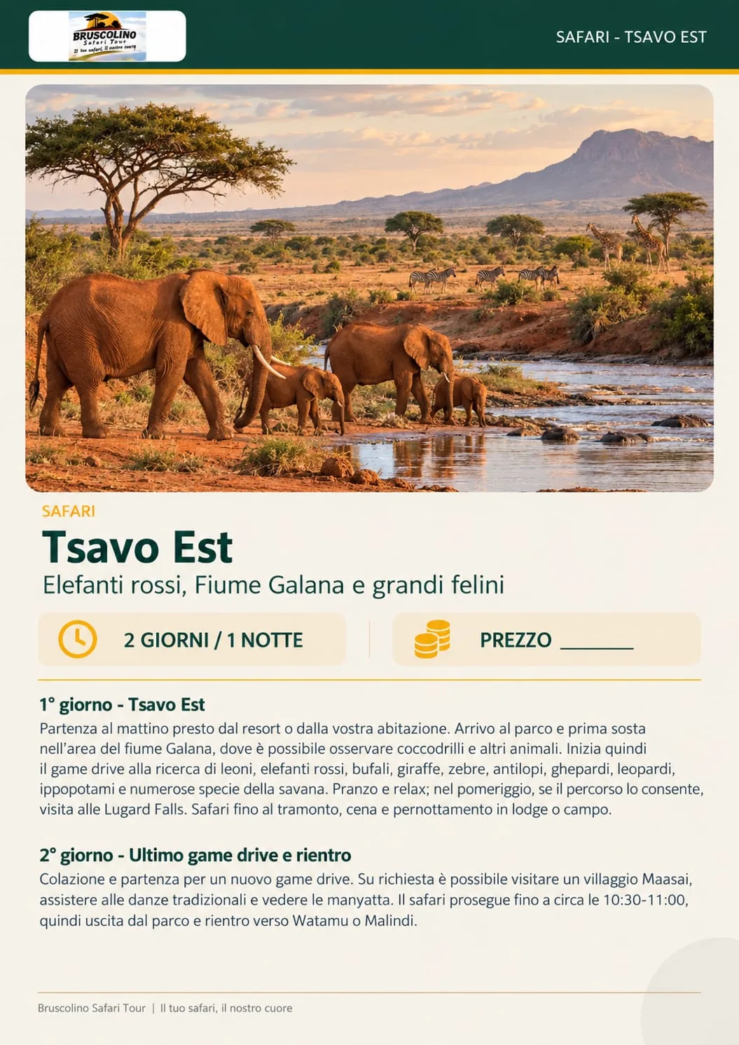 Elefanti lungo il fiume nel Parco Tsavo Est