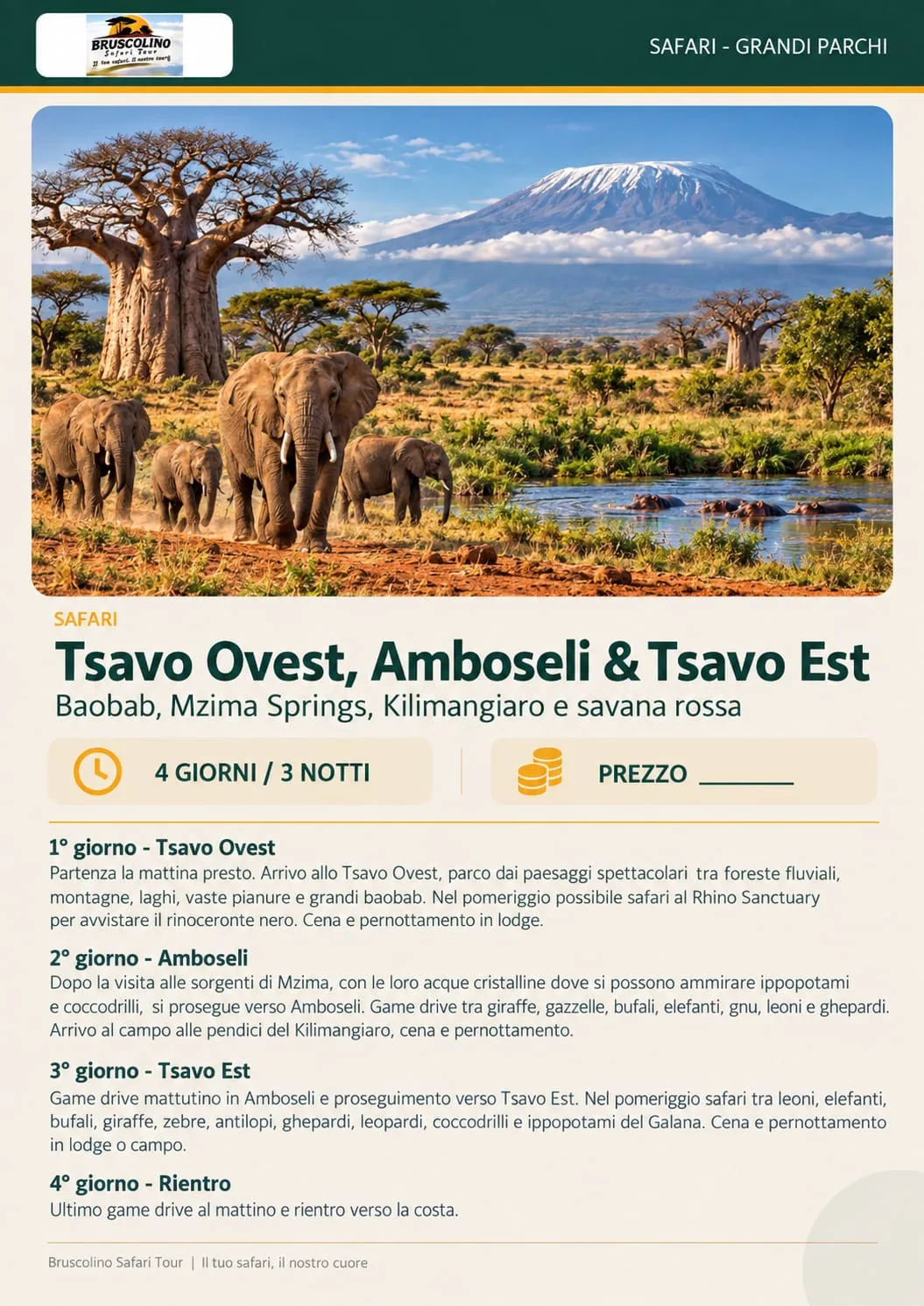 Elefanti e baobab con il Kilimangiaro sullo sfondo