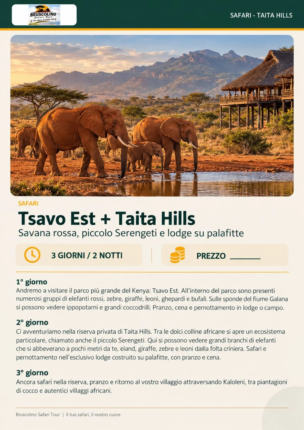 Elefanti nella riserva di Taita Hills vicino al lodge