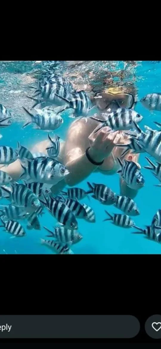 Snorkeling tra i pesci nelle acque limpide del Kenya